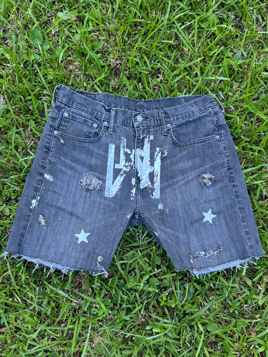 Ashy Black Hwy Jorts…